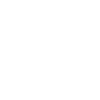 FSV logo